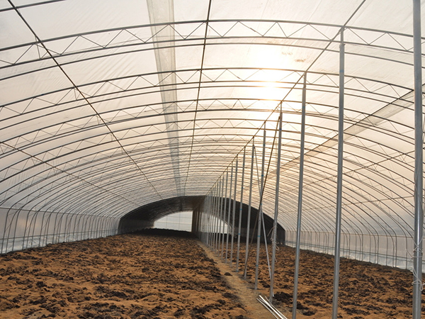 与辽宁双鸭山种植基地签订800吨有机肥